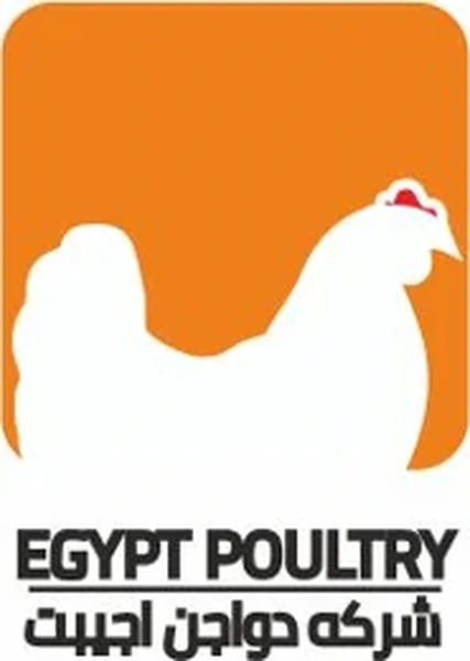 Egypt Poultry Egypt Poultry